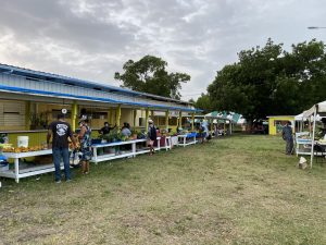 Top 5 things to do in St. Croix
